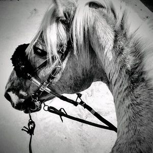 Meet your Posher, Nicole